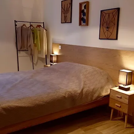 Latelier Plain Pied Au Centre De Lejlighed *