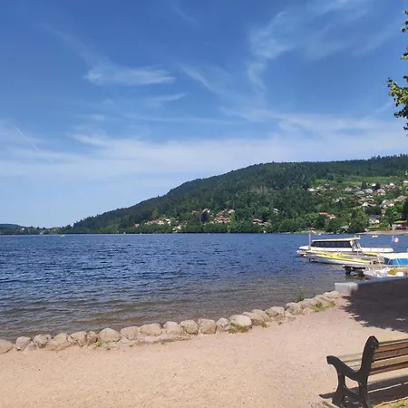 Apartment Gite Latelier Plain Pied Au Centre De Gerardmer