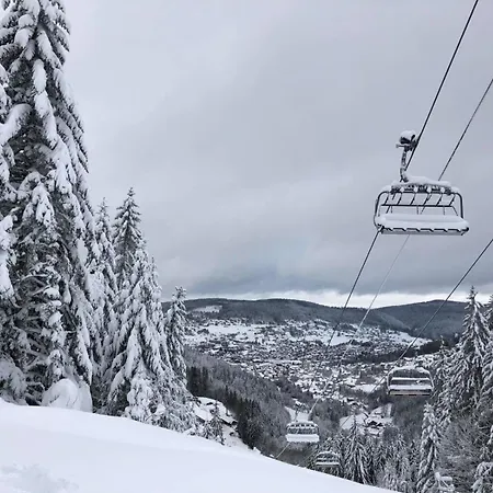 Apartmán Latelier A Proche Du Des Comm Gérardmer