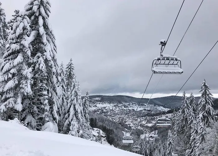 Apartmán Latelier A Proche Du Des Comm Gérardmer